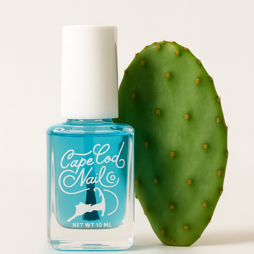 Anchored - Base Coat