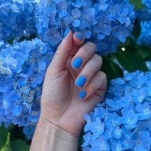 Load image into Gallery viewer, Manicure in bright blue Hello Hydrangea nail polish by Cape Cod Nail Co., held in front of Cape Cod hydrangea flowers.